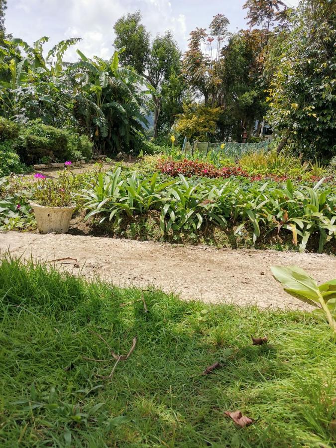 The Galways Edge Homestay Nuwara Eliya Buitenkant foto