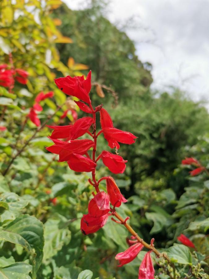 The Galways Edge Homestay Nuwara Eliya Buitenkant foto